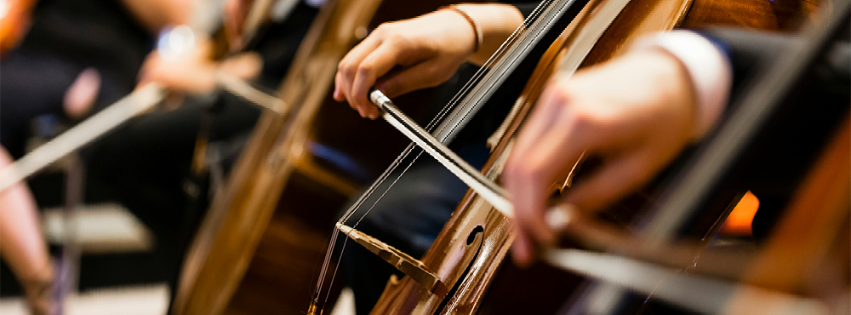 Orchestra Concert