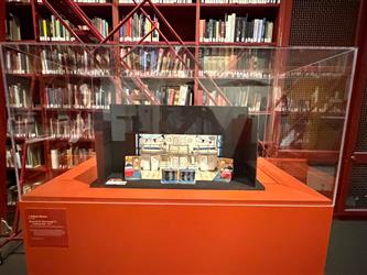 Art Display Case
