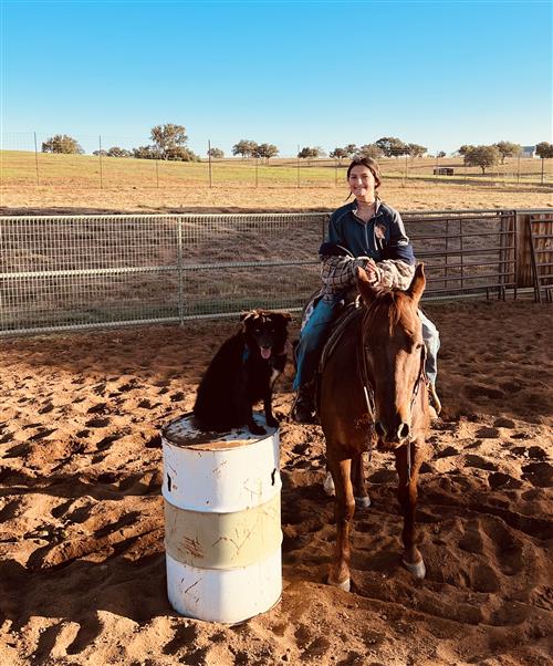 Liv on her horse