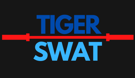 tigers logo
