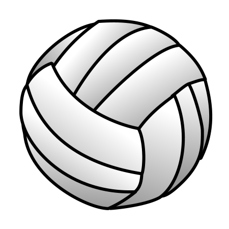  White volleyball