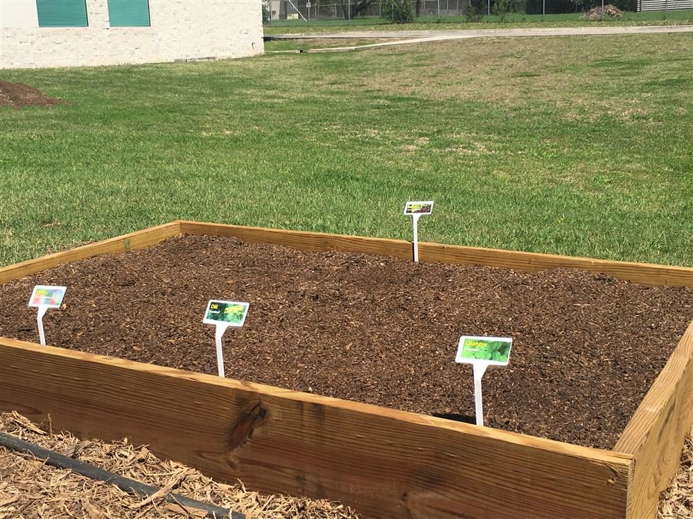 garden bed 